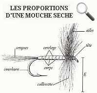 https://sites.google.com/a/chti-moucheur.com/chtimoucheur/atelier-montage/seche2.jpg?attredirects=0